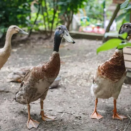 Sekretaerzimmer 2 Hochdorf-Assenheim