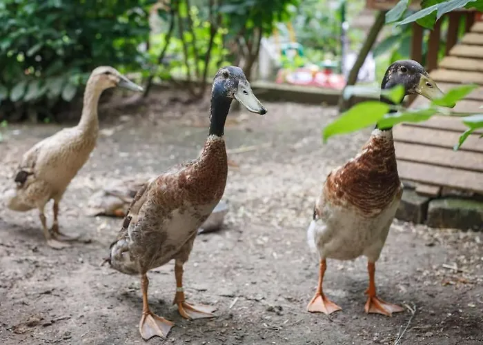 Sekretärzimmer 2 Hochdorf-Assenheim